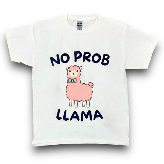 Youth Llama No Problem T-shirt