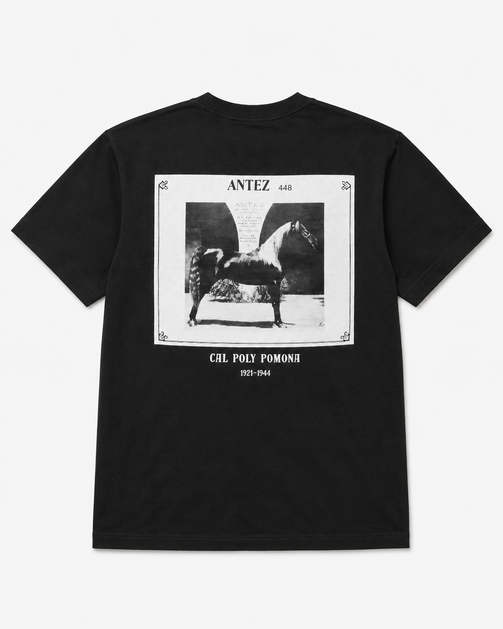 Black Antez Shirt WKKAHC