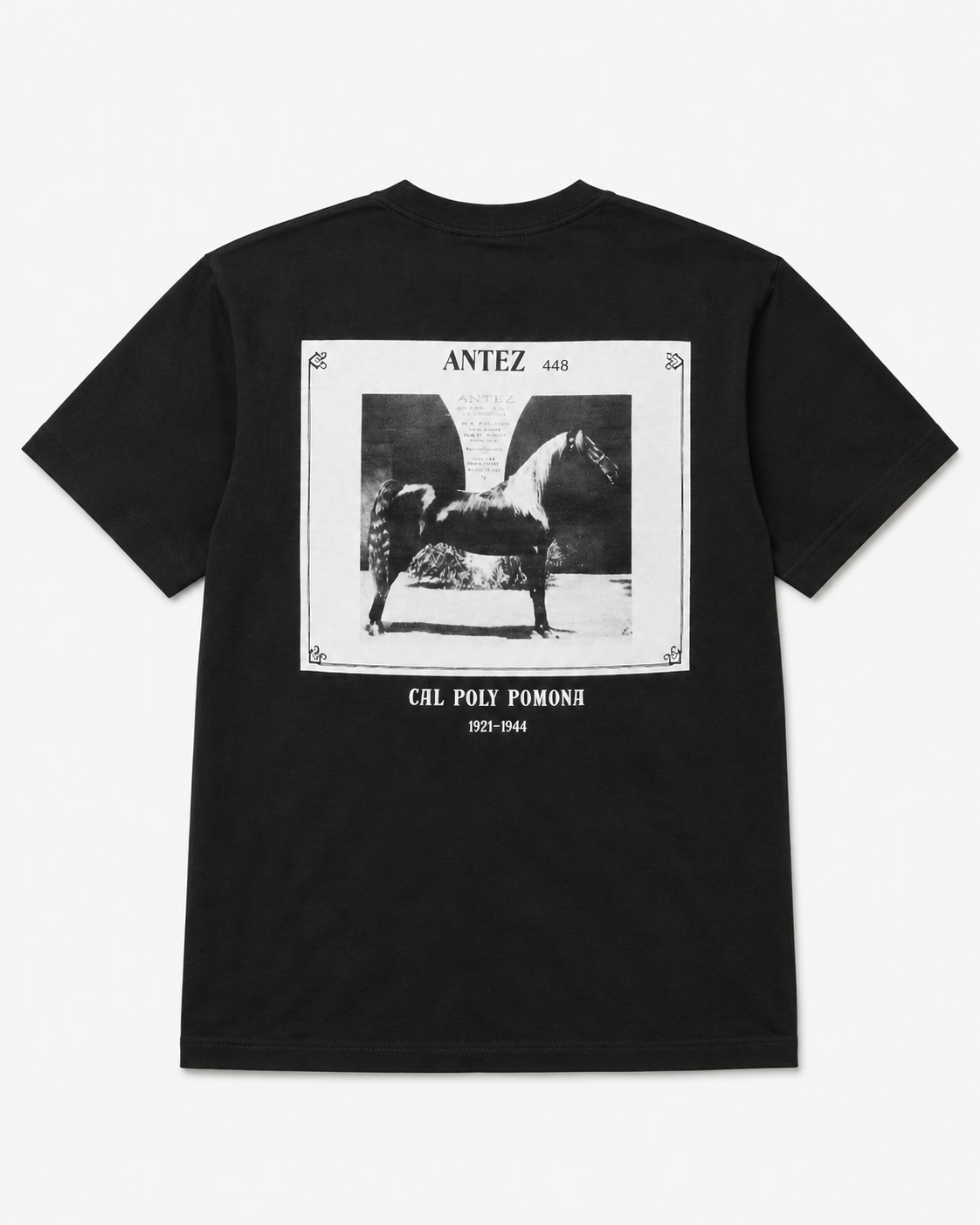 Black Antez Shirt WKKAHC