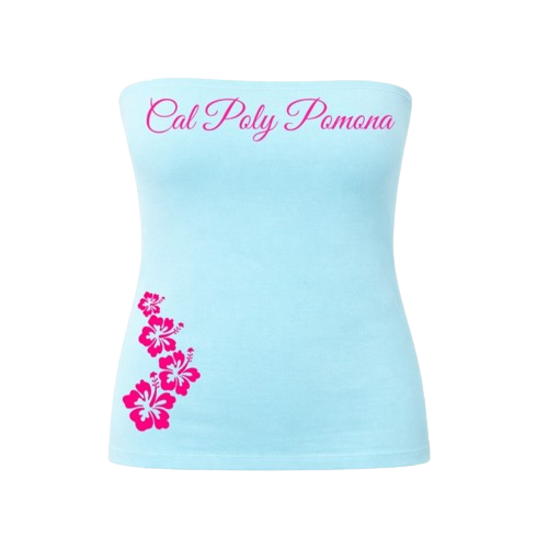 Hibiscus Tube Top