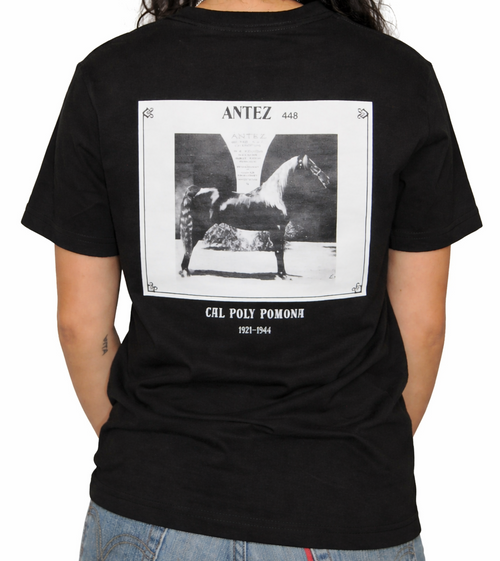 Black Antez Shirt WKKAHC